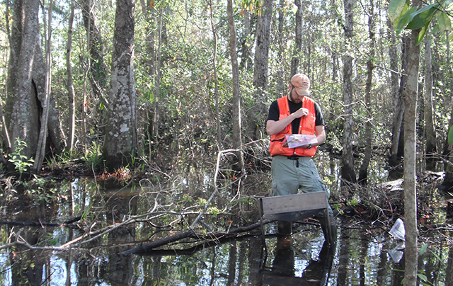 researcher works in wetlands