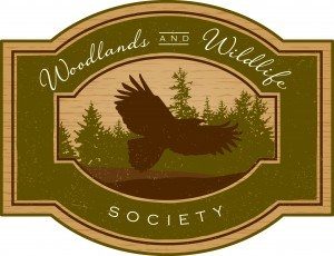 Woodlands and Wildlife Society Logo with Eagle