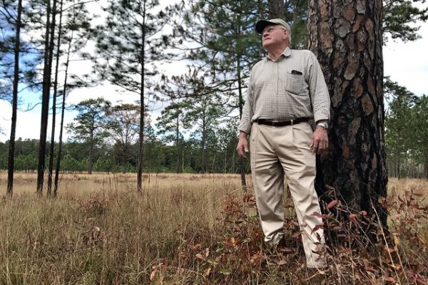 Charley Tarver bought a plantation in southwest Georgia 18 years ago and has turned it into a habitat for the red-cockaded woodpecker. The bird is listed as endangered under the Federal Endangered Species Act. (Photo by Mark Davis, U.S. Fish and Wildlife Service)