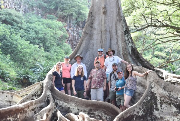 Group of students and faculty stand in front of large tree in Hawaii