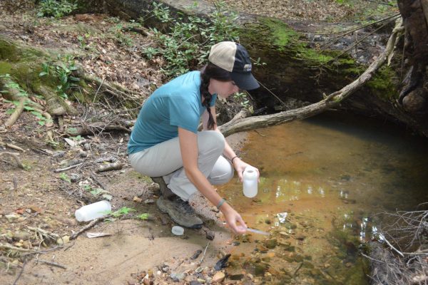 sara bolds collects water samples from a stream
