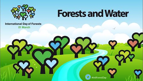 The United Nations is celebrating International Day of Forests on March 21st.