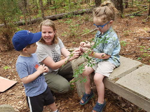 The Kreher Preserve and Nature Center is starting a new Woodland Wonders Nature Preschool in August. Registration opens Thursday, April 25.
