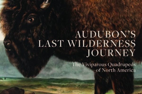 Audubon's Last Wilderness Journey cover art