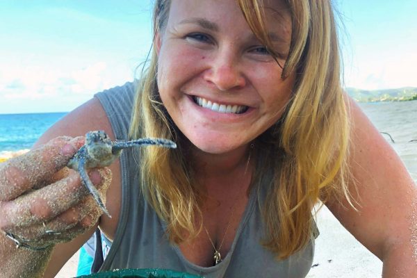 Nicole Angeli released green sea turtles in St. Croix.