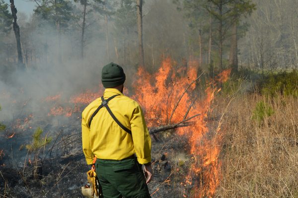 Elrod stands in front of a prescribed fire.