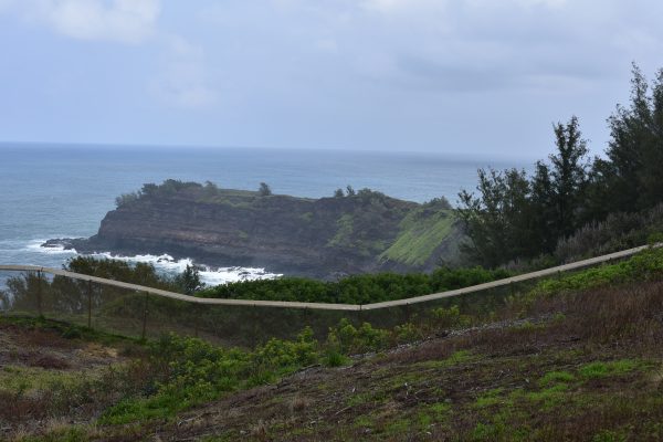 A predator-proof fence on the island of Kauai was erected around a seabird colony to protect it from predators to allow for restoration of seabird populations.