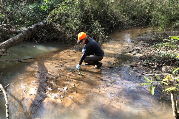 Woman leans down to collect a sample from a stream.