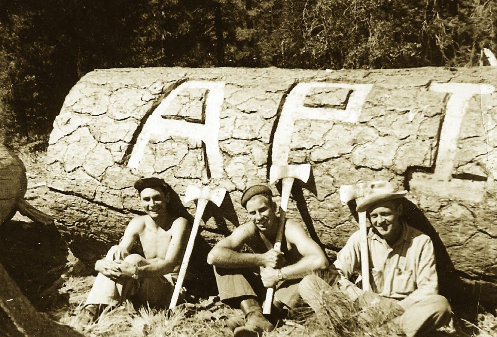 Three men sit in front of a large tree with "API" carved into its bark.