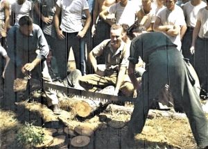 Two men use a large saw in a sawing contest with many onlookers.