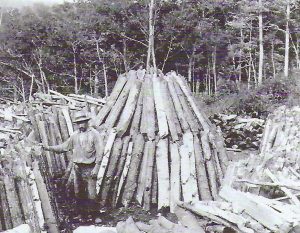 Man standing in front of piles of timber.