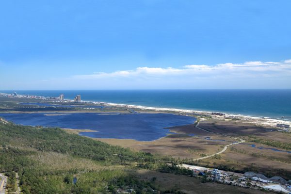 View of Gulf Coast landscape