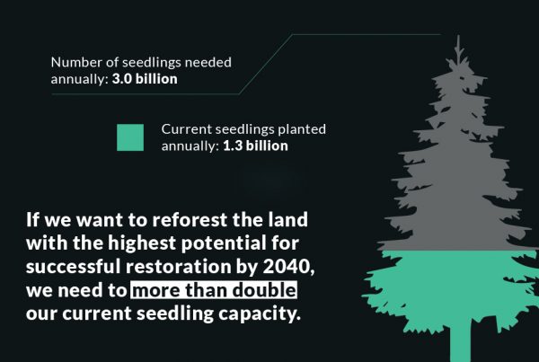 Number of seedlings needed annually: 3.0 billion; Current seedlings planted annually: 1.3 billion; If we want to reforest the land with the highest potential for successful restoration by 2040, we need to more than double our current seedling capacity.