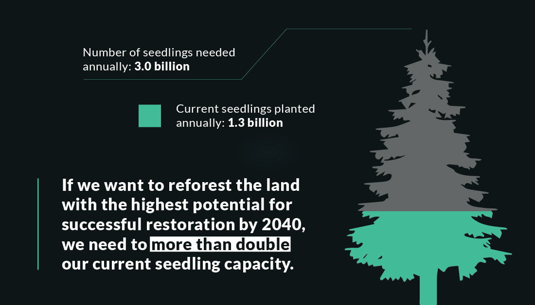 Number of seedlings needed annually: 3.0 billion; Current seedlings planted annually: 1.3 billion; If we want to reforest the land with the highest potential for successful restoration by 2040, we need to more than double our current seedling capacity.