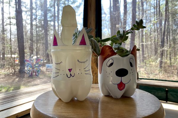 Two animal themed planters made from recycled 2 liter soda bottles; one is a smiling white cat, the other is a cross eyed dog sticking out his tongue
