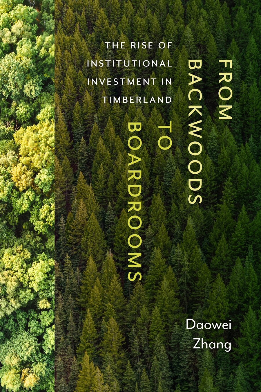 Book cover: "From Backwoods to Boardrooms" by Daowei Zhang.