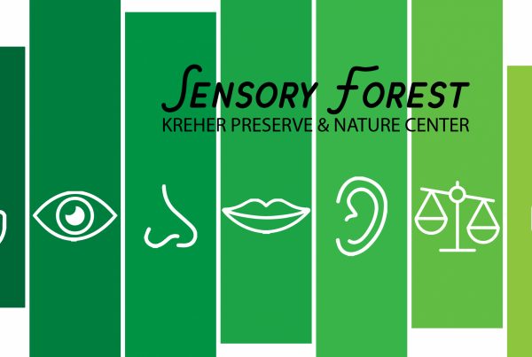 Sensory Forest green gradient graphic with series of outlines for hands, eyes, nose, mouth, ears, judgement scales, and a person