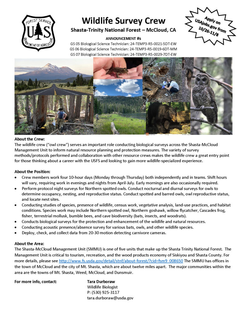 Wildlife Survey Crew Shasta-Trinity National Forest – McCloud, CA ANNOUNCEMENT #s GS 05 Biological Science Technician: 24-TEMP3-R5-0021-5DT-EW GS 06 Biological Science Technician: 24-TEMP3-R5-0019-6DT-MM GS 07 Biological Science Technician: 24-TEMP3-R5-0029-7DT-EW About the Crew: The wildlife crew (“owl crew”) serves an important role conducting biological surveys across the Shasta-McCloud Management Unit to inform natural resource planning and protection measures. The variety of survey methods/protocols performed and collaboration with other resource crews makes the wildlife crew a great entry point for those thinking about a career with the USFS and looking to gain more wildlife-specialized experience. About the Position: • Crew members work four 10-hour days (Monday through Thursday) both independently and in teams. Shift hours will vary, requiring work in evenings and nights from April-July. Early mornings are also occasionally required. • Perform protocol night surveys for Northern spotted owls. Conduct nocturnal and diurnal surveys for owls to determine occupancy, nesting, and reproductive status. Conduct spotted and barred owls, owl reproductive status, and locate nest sites. • Conducting studies of species, presence of wildlife, census work, vegetative analysis, land-use practices, and habitat conditions. Species work may include Northern spotted owl, Northern goshawk, willow flycatcher, Cascades frog, fisher, terrestrial mollusk, bumble bees, and cave biodiversity (bats, insects, and woodrats). • Conducts biological surveys for the protection and enhancement of the wildlife and natural resources. • Conducting acoustic presence/absence survey for various bats, owls, and other wildlife species. • Deploy, check, and collect data from 20-30 motion detecting carnivore cameras. About the Area: The Shasta-McCloud Management Unit (SMMU) is one of five units that make up the Shasta Trinity National Forest. The Management Unit is critical to tourism, recreation, and the wood products economy of Siskiyou and Shasta County. For more details, please see http://www.fs.usda.gov/detail/stnf/about-forest/?cid=fsm9_008650 The SMMU has offices in the town of McCloud and the city of Mt. Shasta, which are about twelve miles apart. The major communities within the area are the towns of Mt. Shasta, Weed, McCloud, and Dunsmuir.