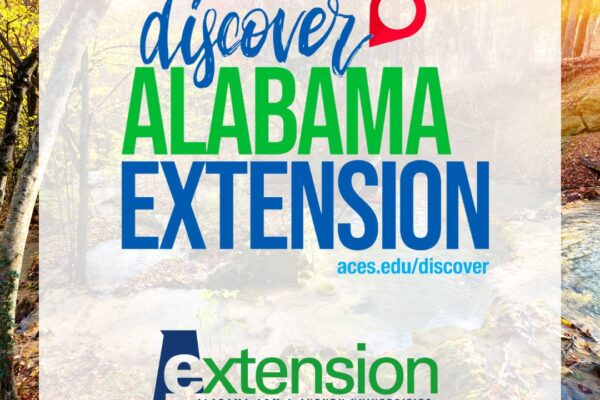 Discover Alabama Extension