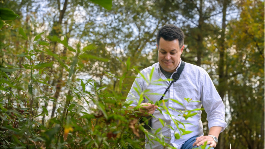 Jonathon Valente examines vegetation in a forest.