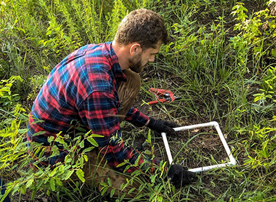 man performing vegetation transects in a meadow