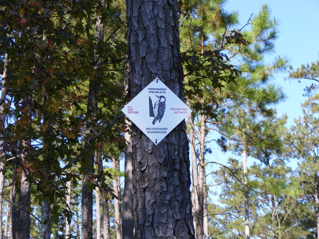 Endangered Species CRNMML