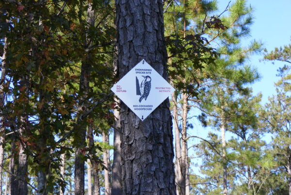 Endangered Species CRNMML