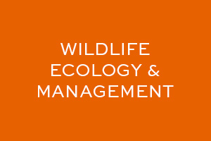 click to read wildlife ecology and management curriculum model