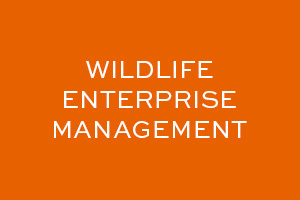 click to read wildlife enterprise management curriculum model