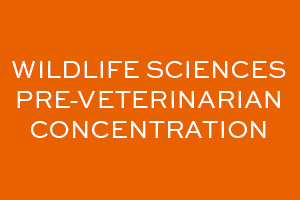click to read wildlife sciences pre-veterinarian concentration curriculum model