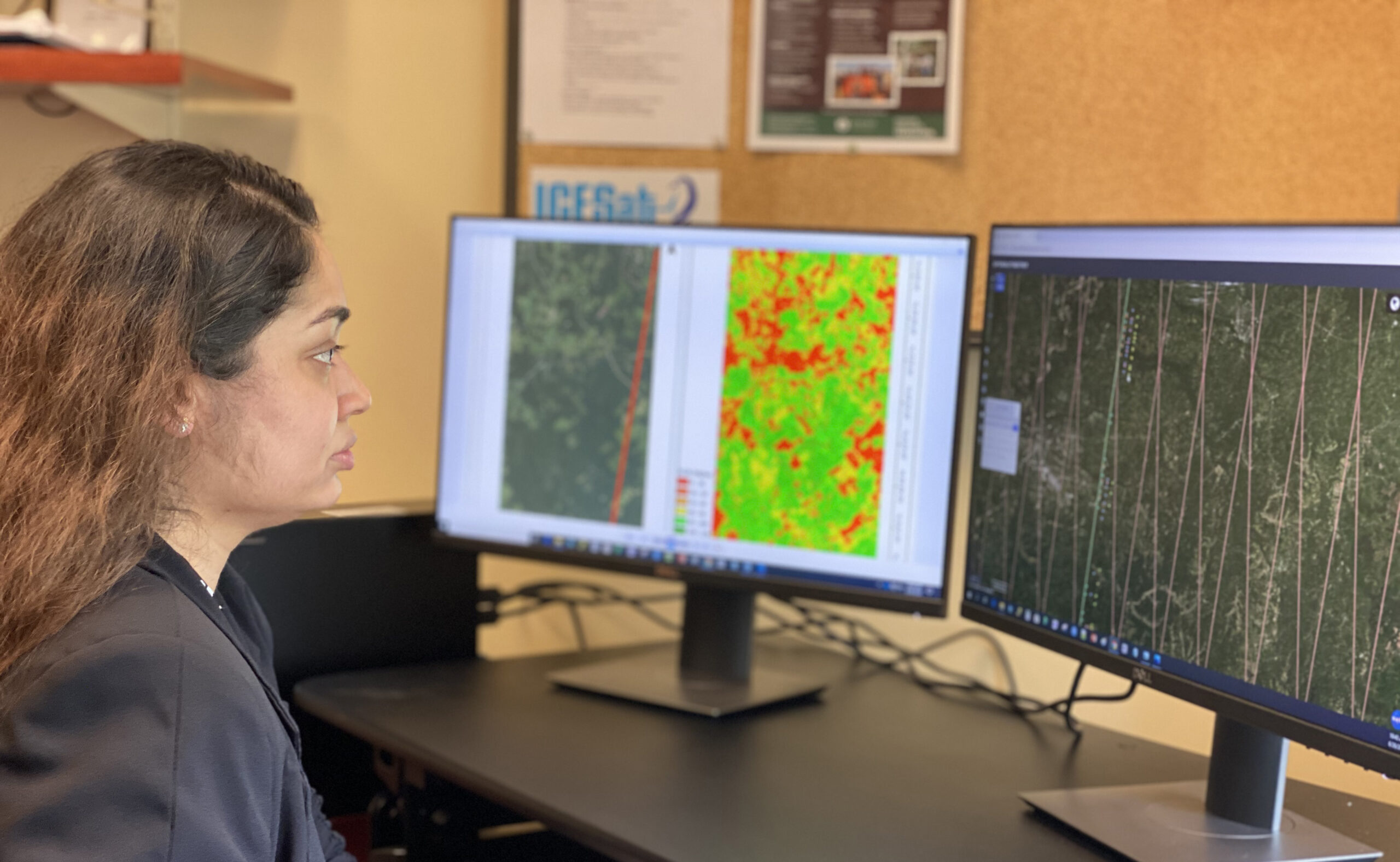 female scientist using remote sensing software for analysis