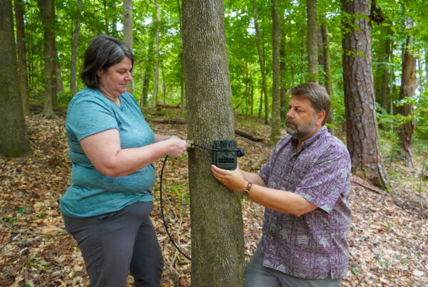 Chris Lepczyk and Jean Fantle-Lepczyk mount a game camera to a tree.