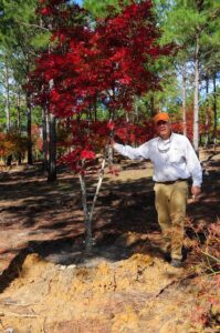 Man standing in a garden posing near a tree.