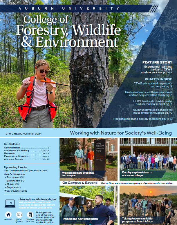 Summer newsletter cover