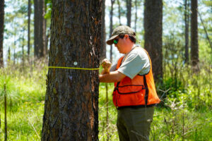 An Auburn forestry student measures a tree's diameter in the forest at the Solon Dixon Center.