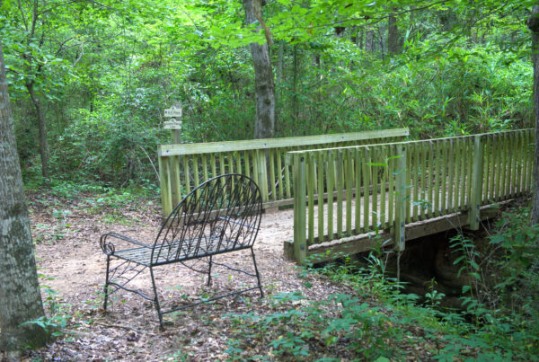 The Azalea Place bridge at the Kreher Preserve and Nature Center