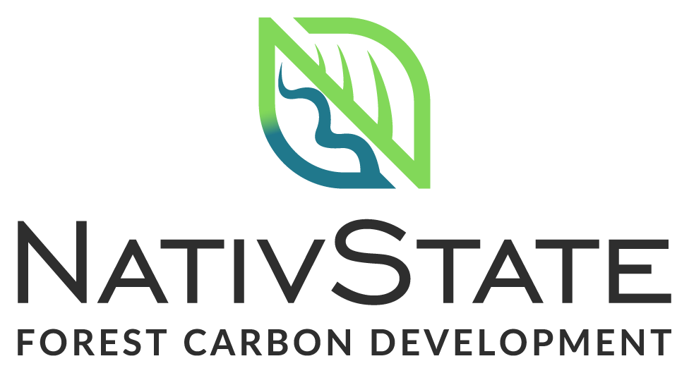 NativState graphic logo