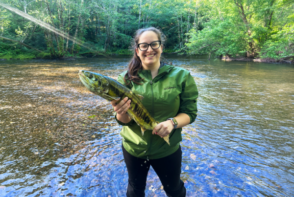 Person standing in a shallow river holding a fish, with trees and sunlight in the background.