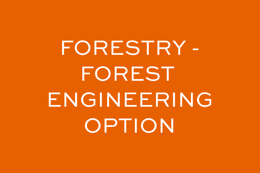 Forestry, Forest - Engineering Option
