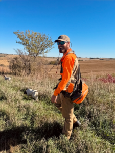 A hunting guide walking in a pasture led by hunting dogs.