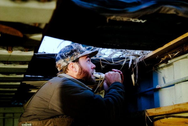 A hunting guide holds a waterfowl call to his mouth while looking upward out of a hunting blind.