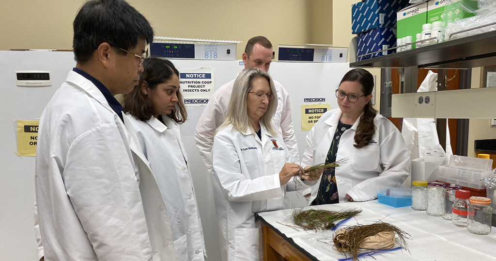 five researchers examine needle blight specimens in a laboratory
