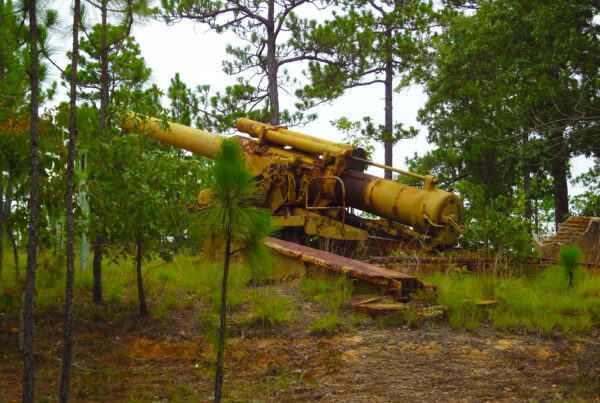 A decommission yellow artillery cannon sits in a forest.