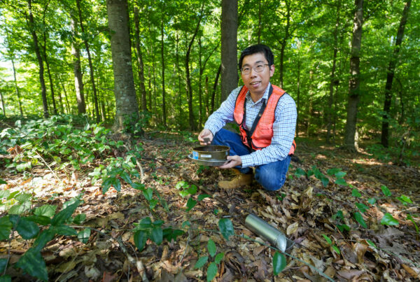 Yang Yang kneels in a forest holding a sifting pan of soil.