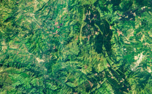 A satellite image of a lush, green forest