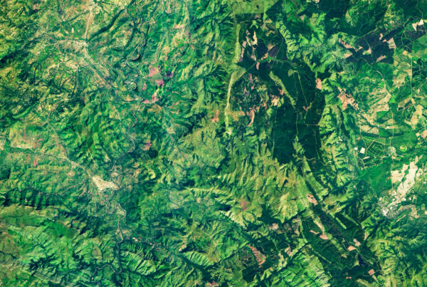 A satellite image of a lush, green forest