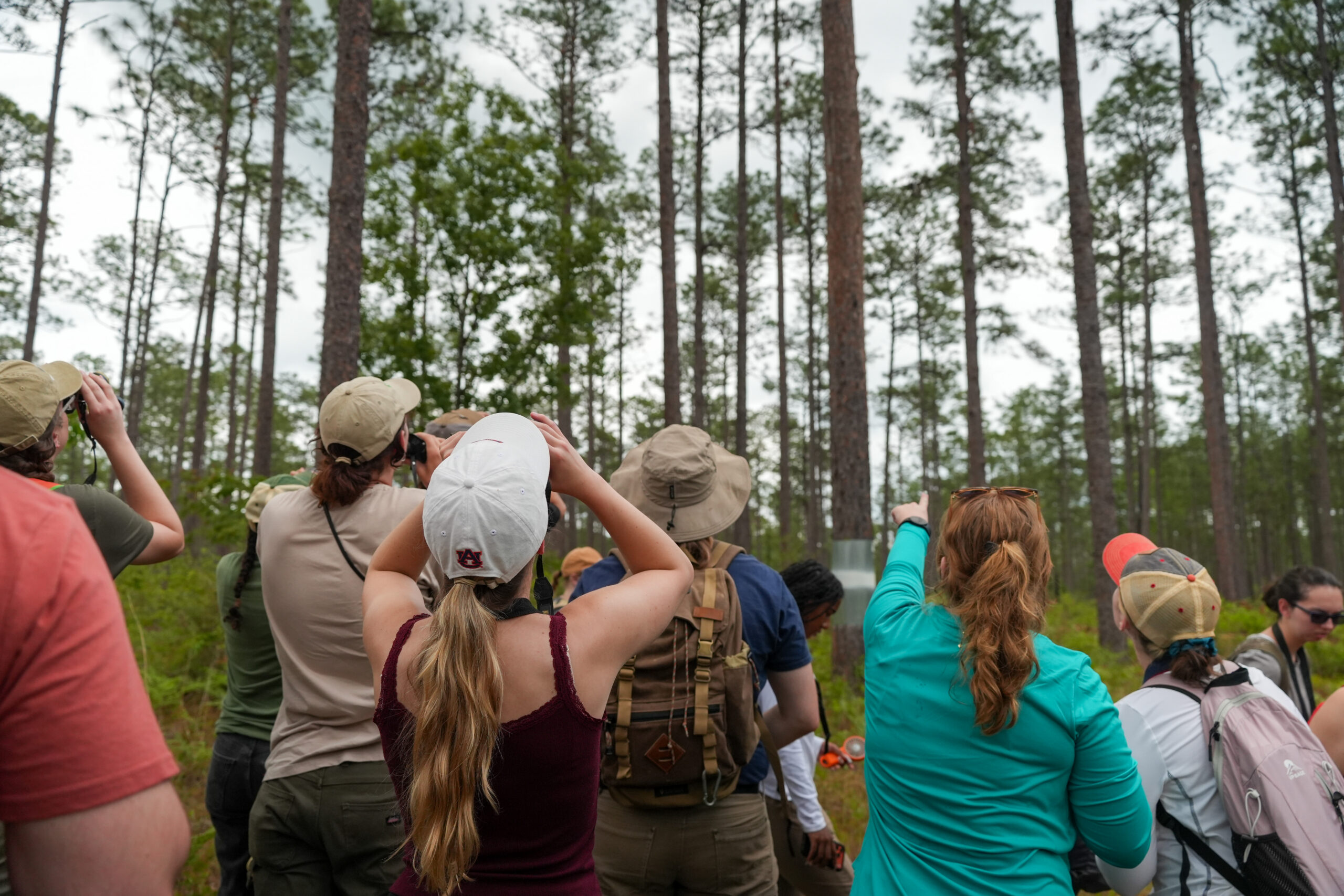 group of wildlife students birding in the forest as part of an ornithology class