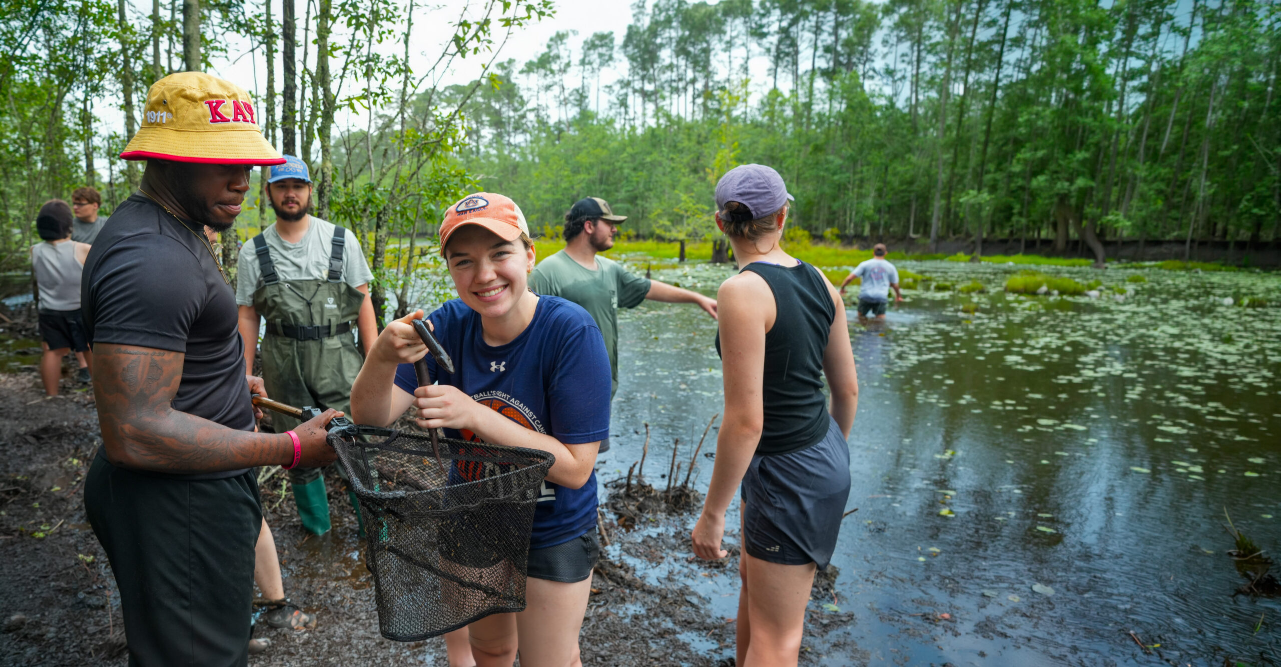 Auburn wildlife students capture amphibians while in a swamp.