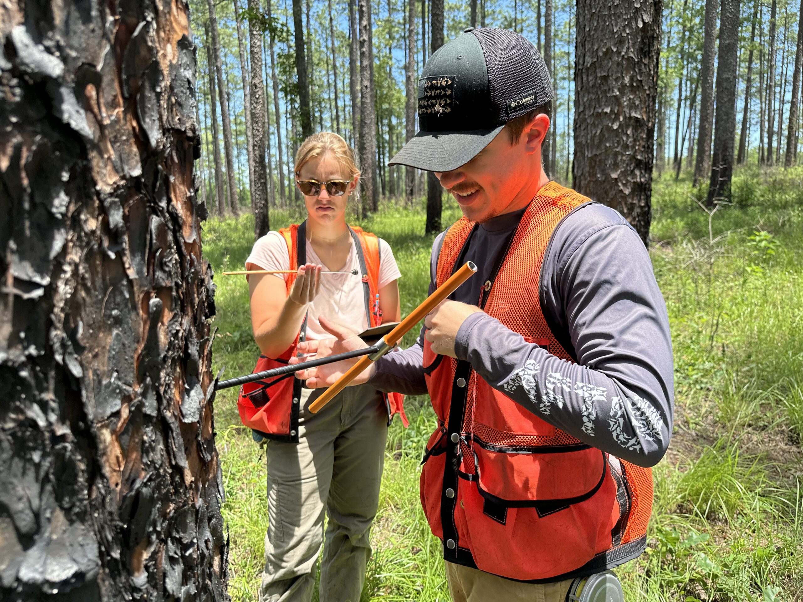male and female student take tree core sample in the forest