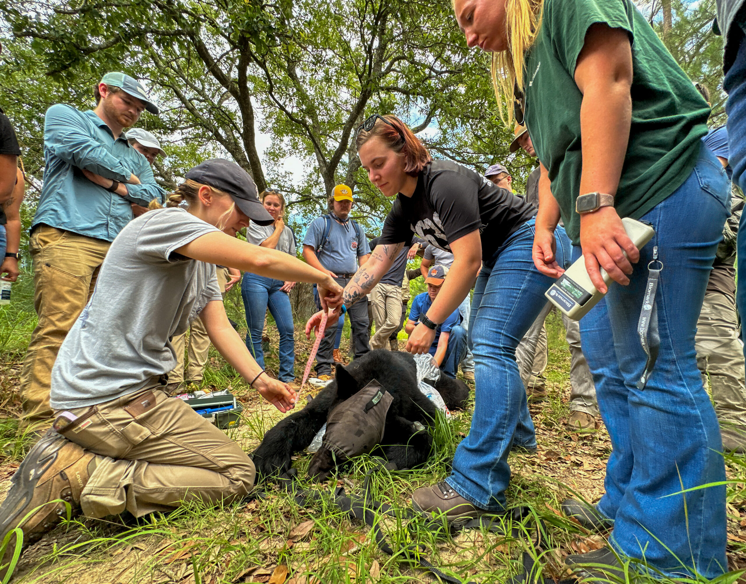 graduate students demonstrate data collection and other measurements for undergrads watching